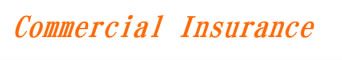 Commercial Insurance